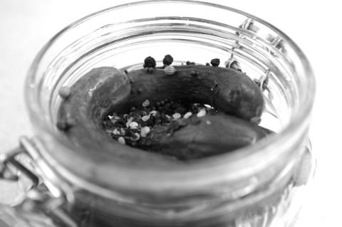 Cucumbers ready for pickling