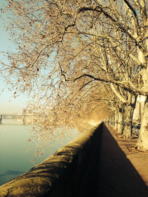 Toulouse and the Garonne